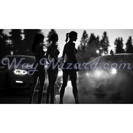 Картина «Дівчата у світлі фар» — силуети в димі на лісовій стоянці