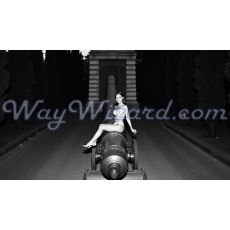 Картина «Влада та стиль» – жінка на гарматі